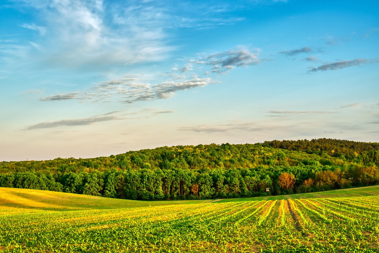 Agricultural landscape representing VDEMA global commodity trade