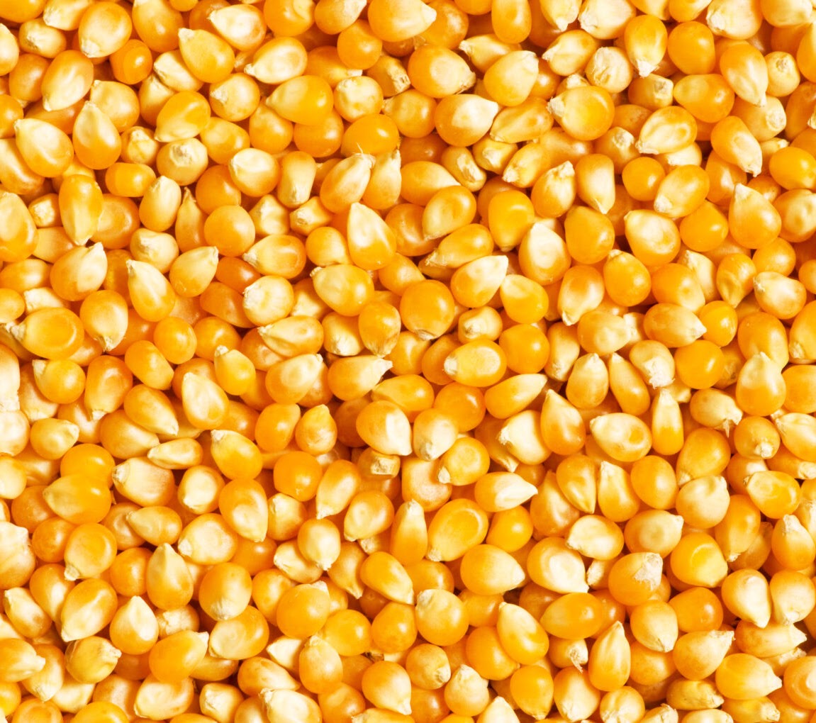 VDEMA legacy gallery image 10